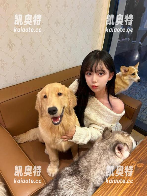 51吃瓜 51吃瓜最新网址免费网页萌趣上线,吃瓜党的天堂!