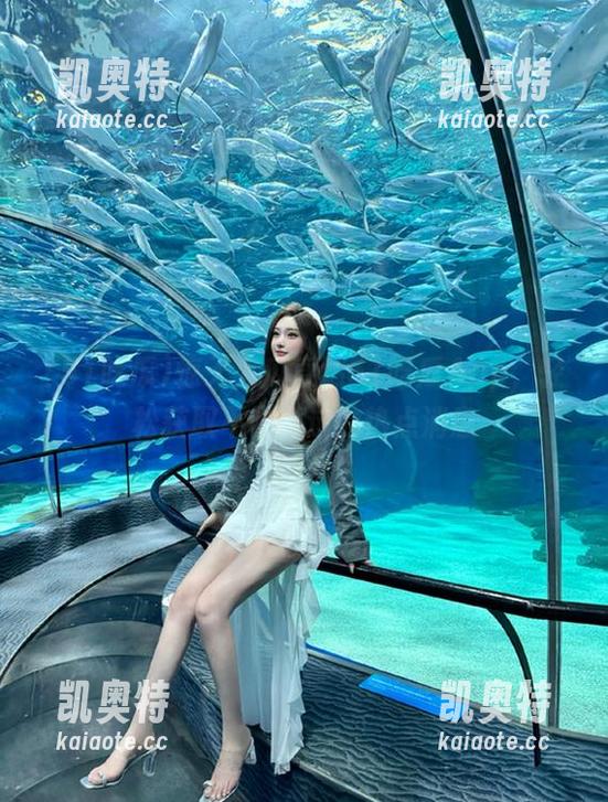 惊天大瓜直达51吃瓜App，轻松获取不容错过的热点消息