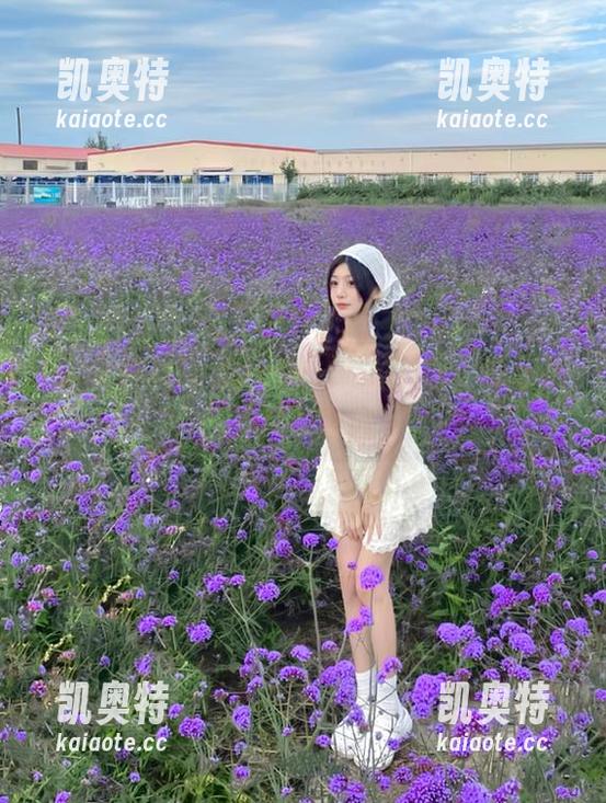 hlw hlwapp一站式吃瓜神器,娱乐热点尽收眼底