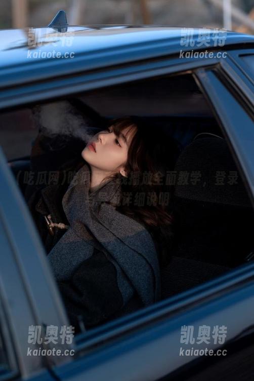 吃瓜网在线播放全面教学，登录与导航详细说明