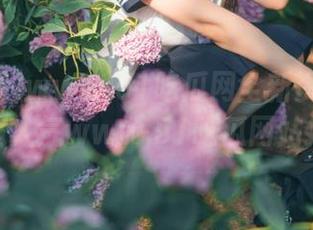 www.51吃瓜网全新资源上线，超人气www.51吃瓜网站推荐