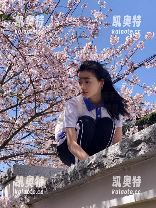 吃瓜黑料网 最新吃瓜黑料网不打烊入口下载,女生必备追剧神器