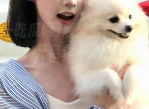 我爱五一吃瓜网最新版本更新内容，开启永不迷路直达吃瓜新时代