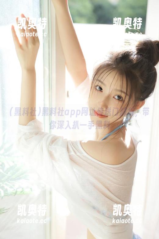 黑料社app网址传送门解析，带你深入扒一手黑料