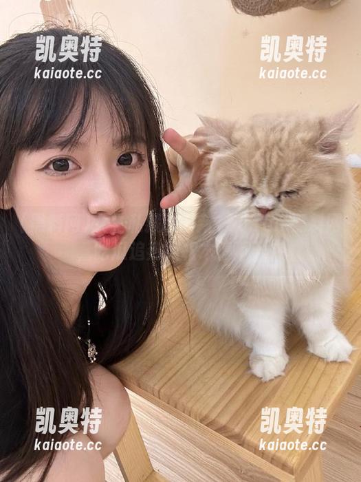 女生私藏的最新155.fun.黑料网，吃瓜追热点根本停不下来